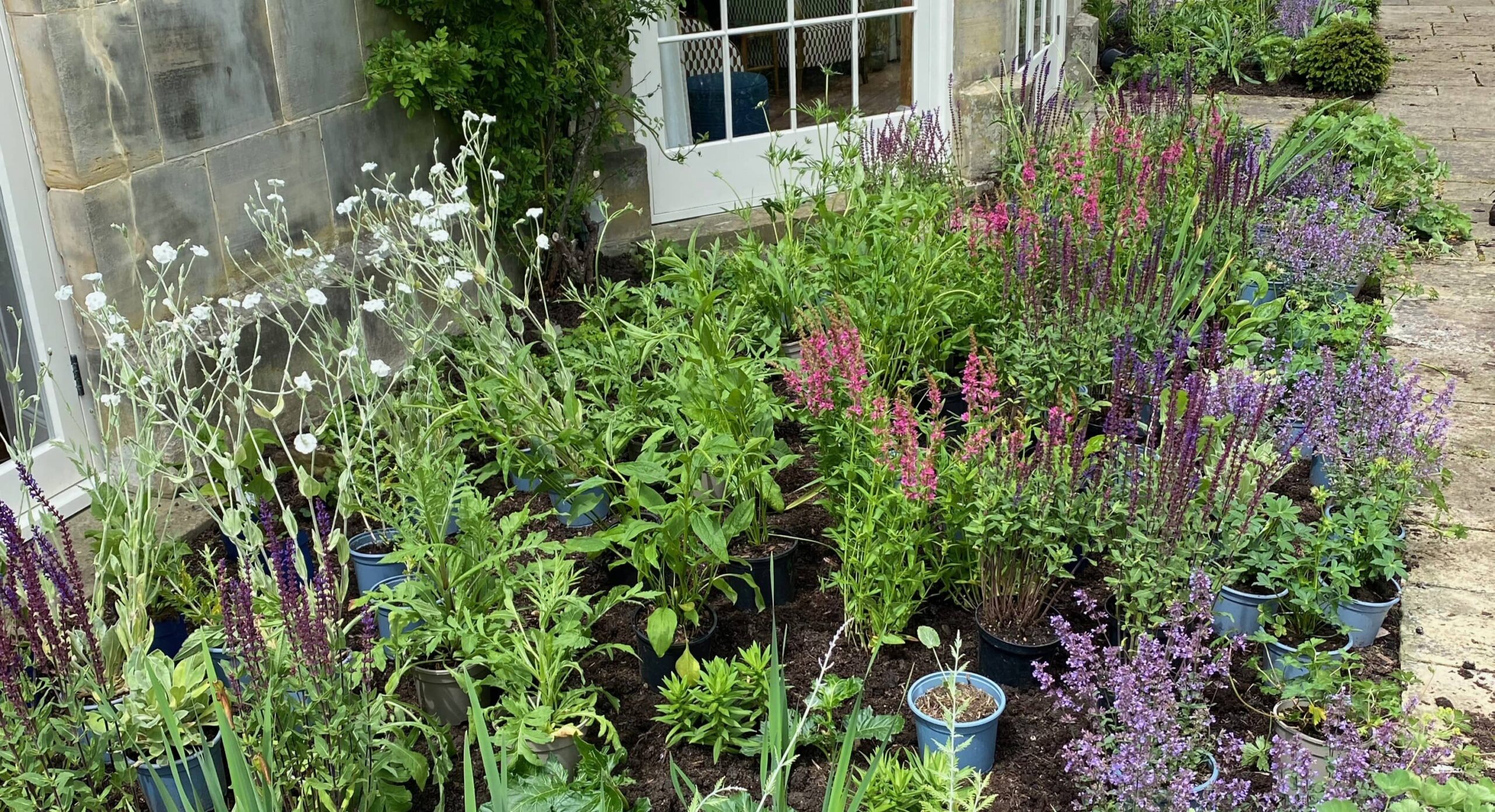 Plant Procurement Birchwood Tree & Estate Management